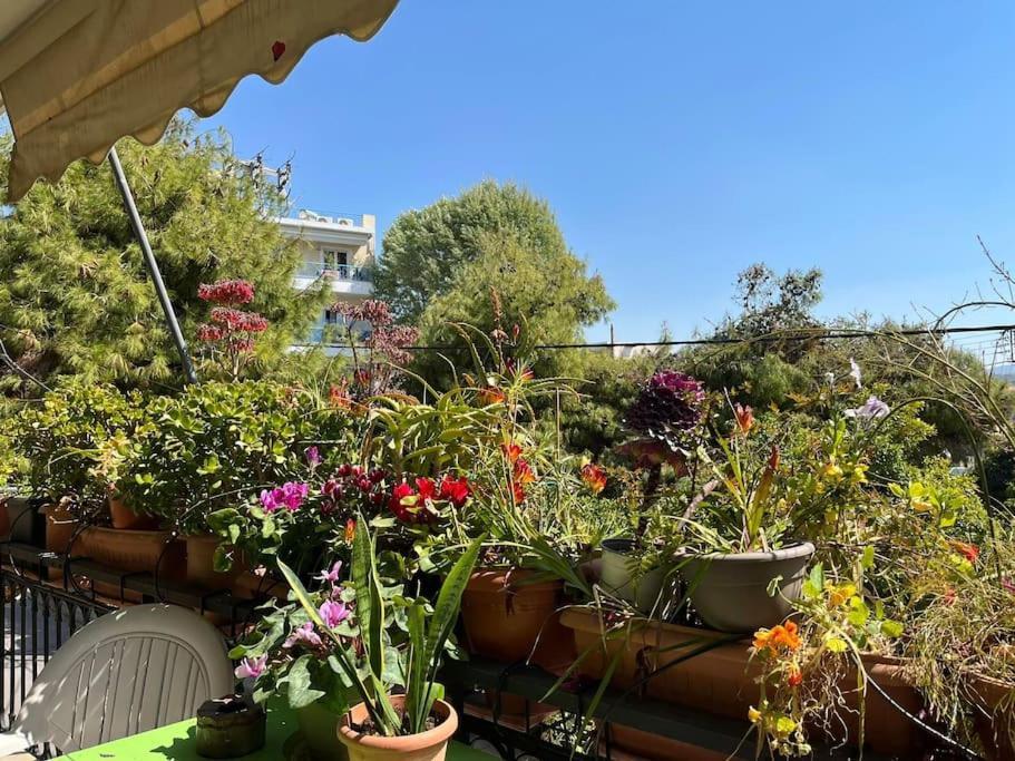 Apartament Mονοκατοικία - Mεζονέτα *